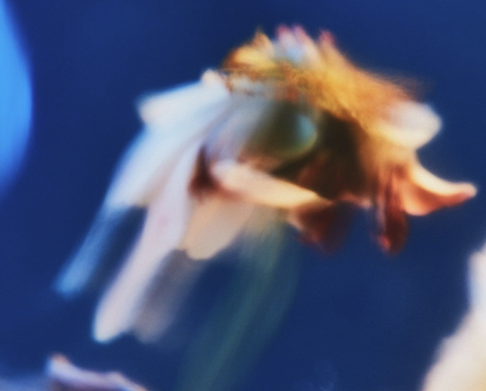 Zero royalties, zero hidden fees